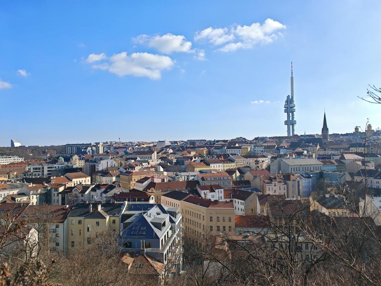 Appartement In Zizkov -504- *